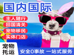 普陀山机场快递国际宠物托运 【国